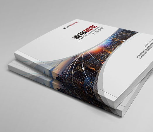 �����늿Ƽ����麣�����޹�˾---2021����I(y��)��(hu��)��